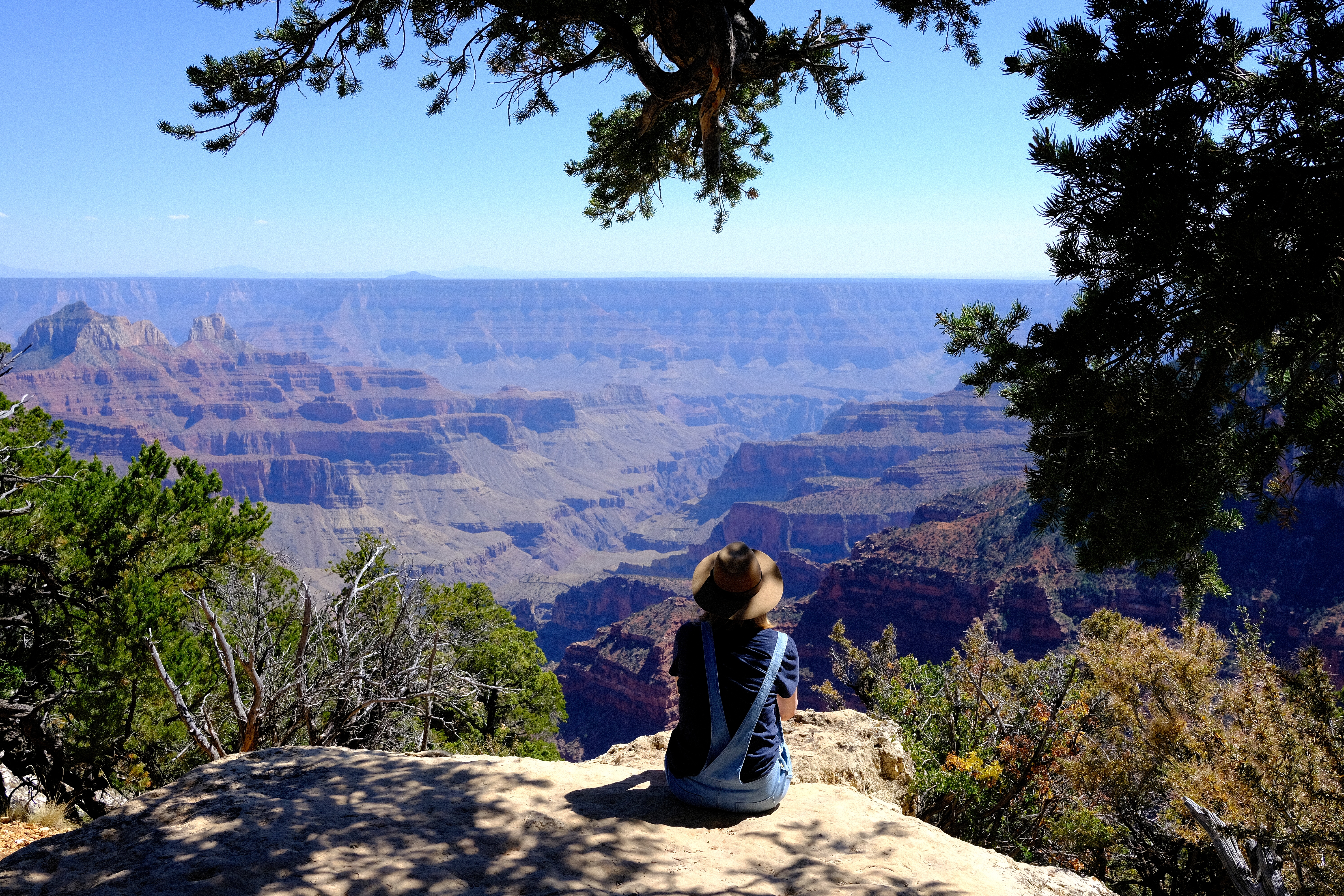 Direction Grand Canyon – Rim North : notre road trip en famille