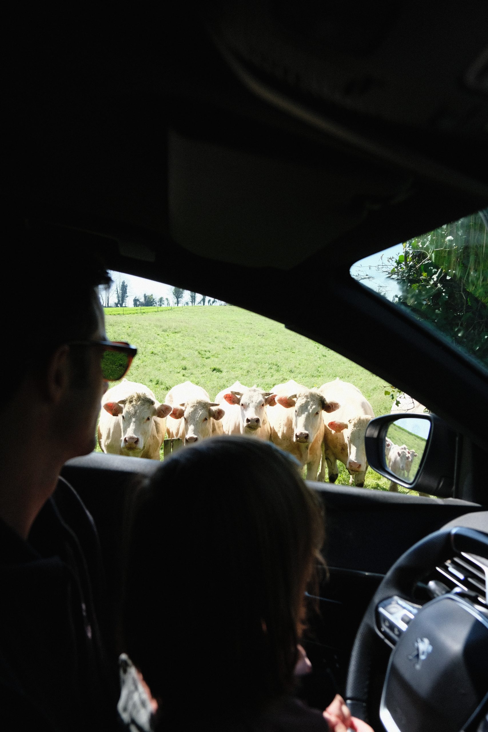 Un week-end à la ferme, pour une expérience originale et authentique