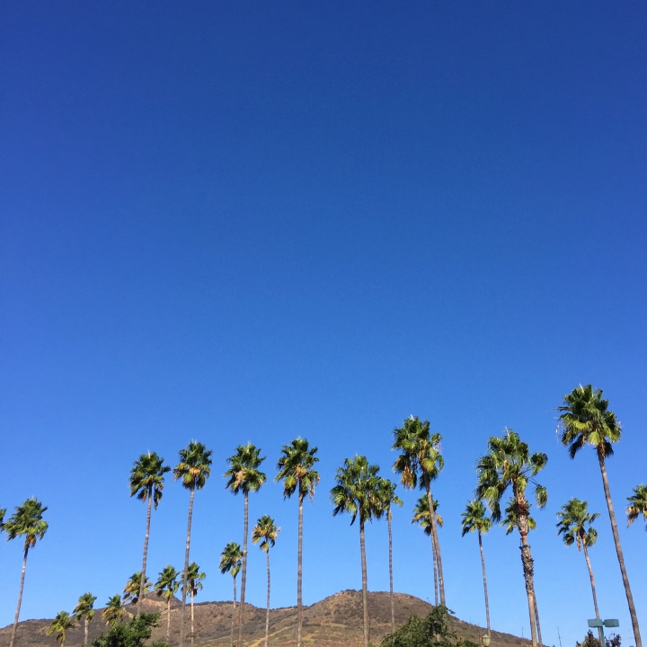 Road trip aux Etats Unis : Santa Barbara) / Palm Springs / Joshua tree